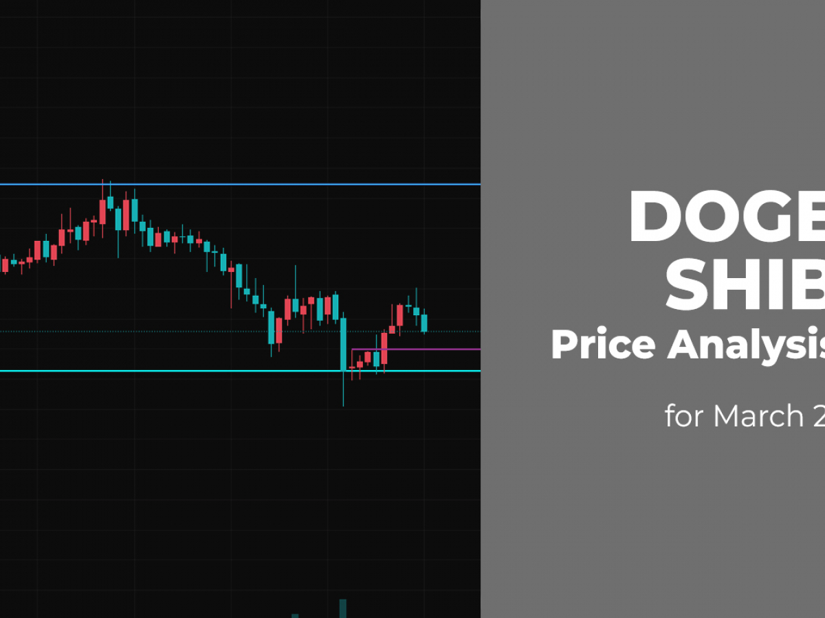 DOGE and SHIB Price Analysis for March 21