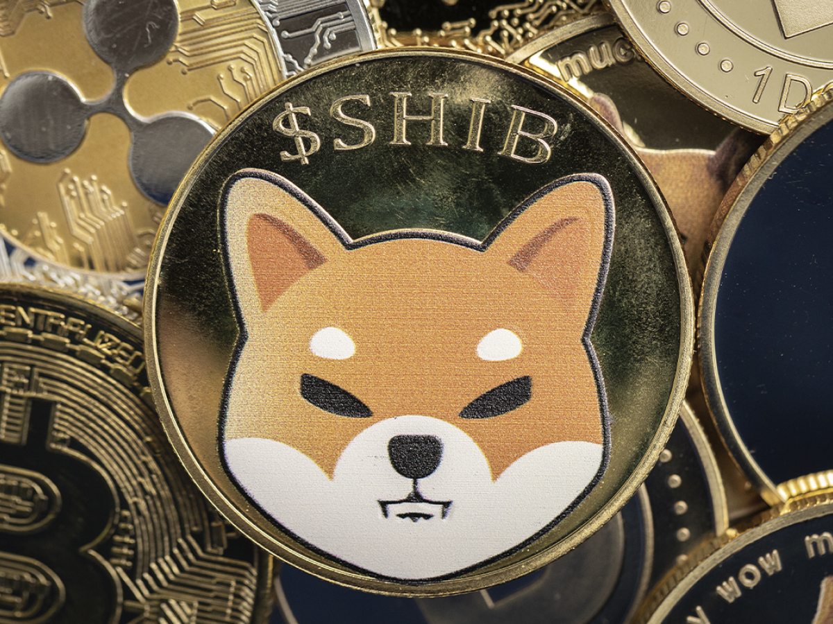 Shiba Inu-Friendly Payment Gateway Gains More Traction with Merchants