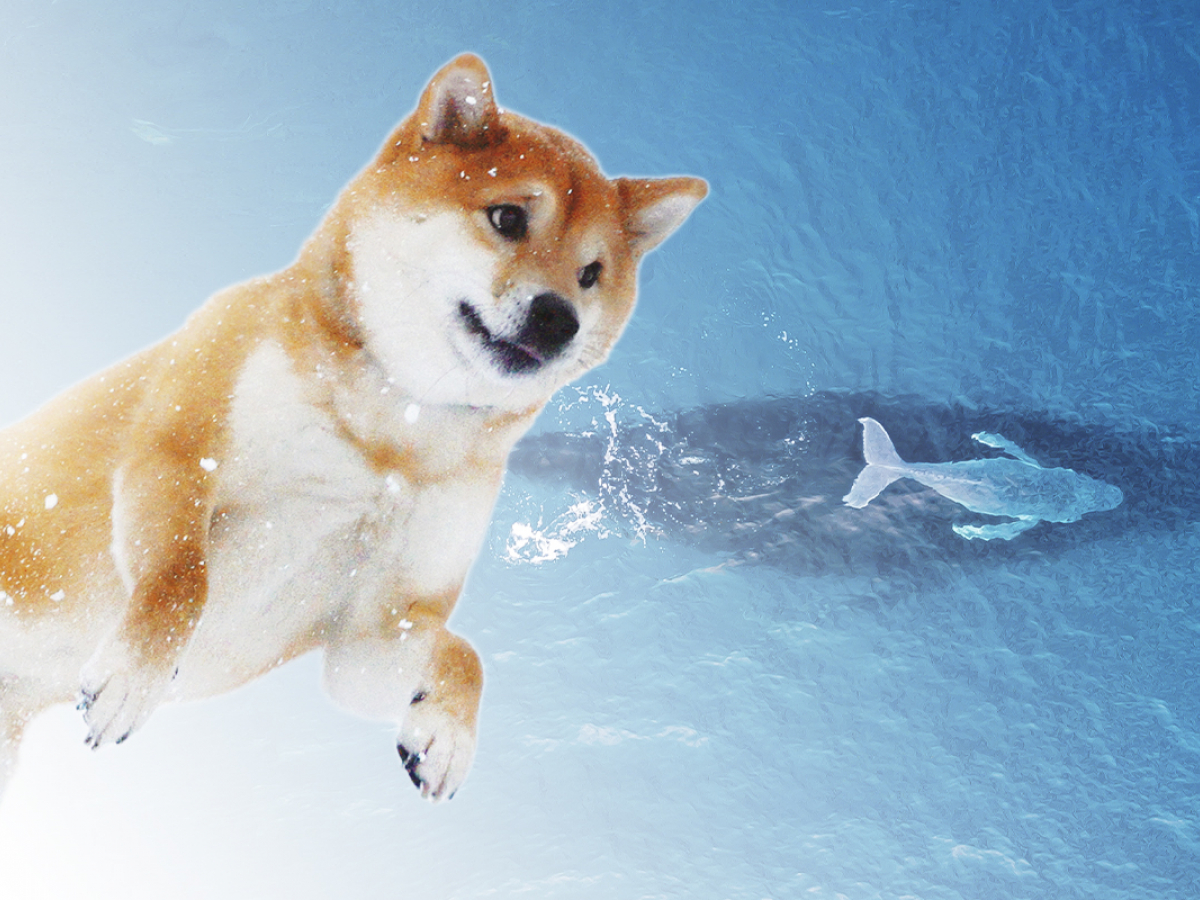 Shiba Inu Whale with 4 Trillion SHIB Increases Holdings; Here’s What Was Bought