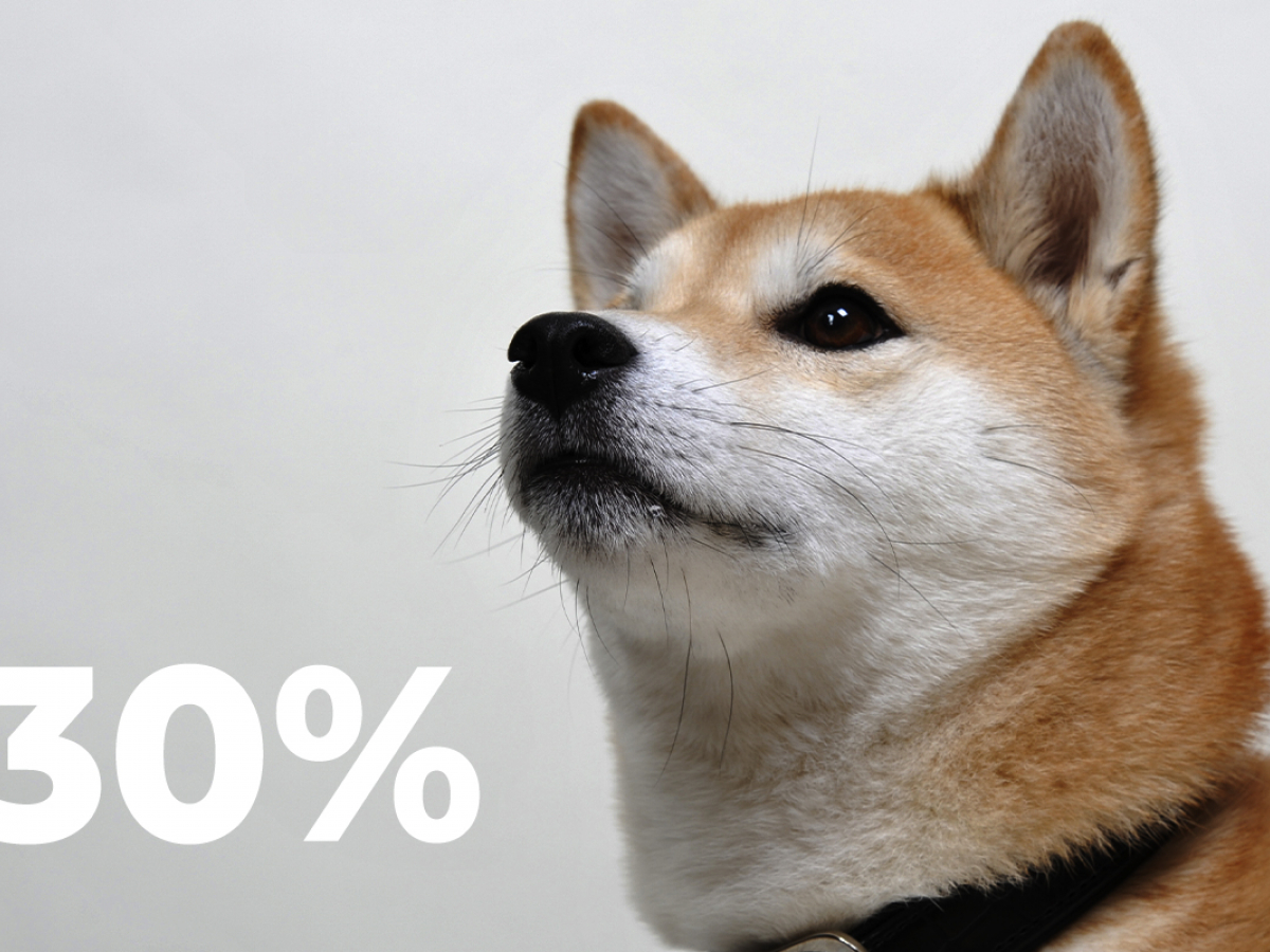 Shiba Inu Comes Back with Massive 30% Spike in March, Whales’ Transactions Increase by 349%