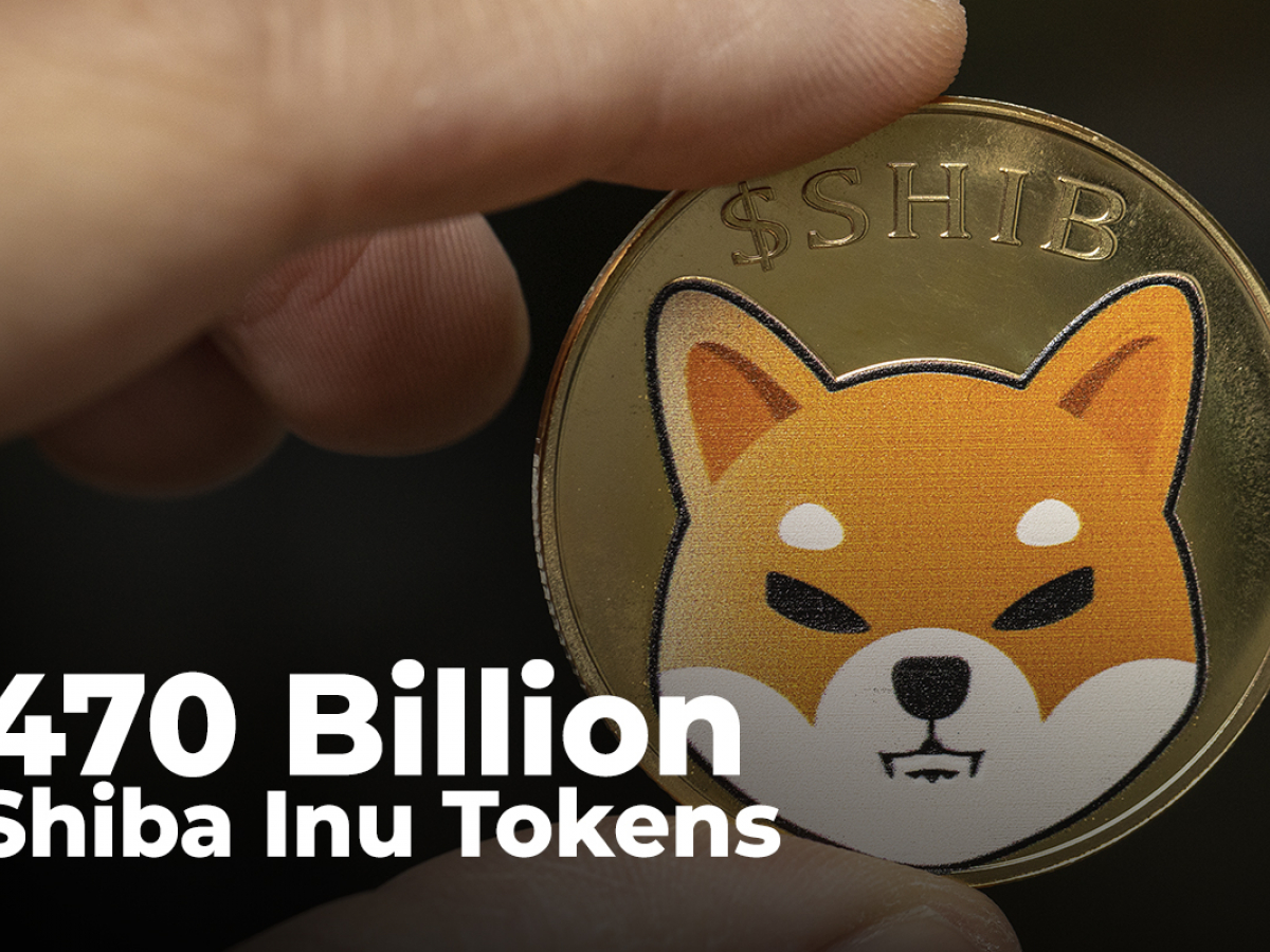 470 Billion Shiba Inu Tokens Grabbed by Whales Who Now Own 1.3 Trillion SHIB in Total