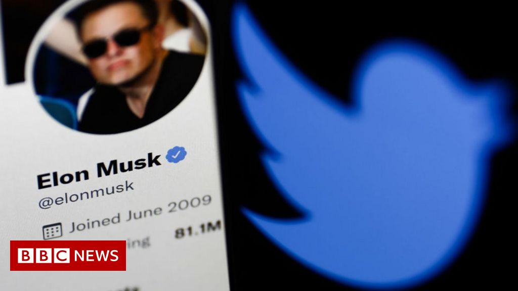 Elon Musk will not join Twitter board, says boss