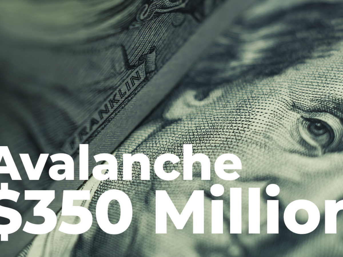 Avalanche Developer to Rake In 0 Million