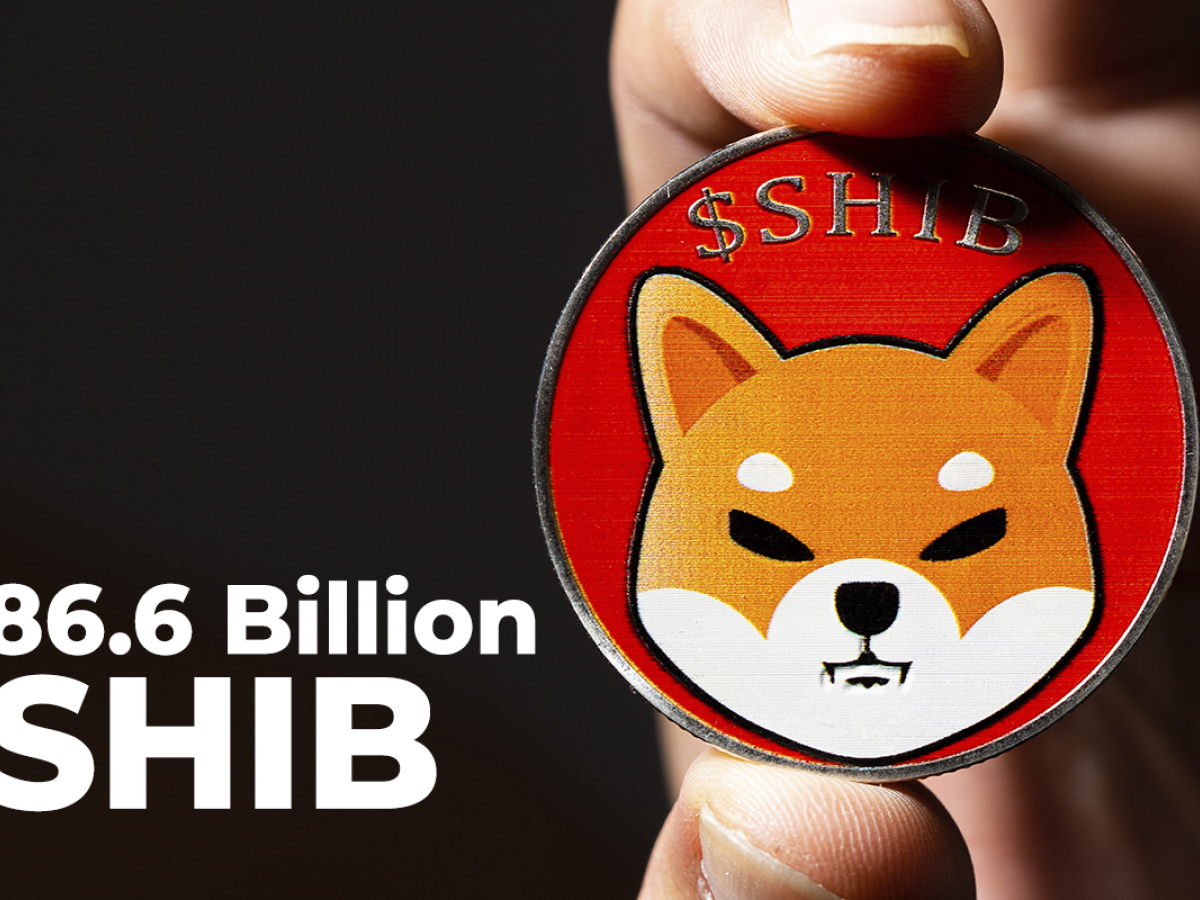 86.6 Billion SHIB Acquired by Whale, Who Grabbed Almost 2 Trillion SHIB in April