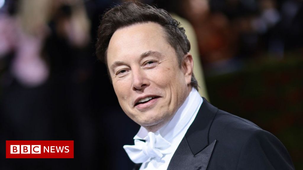 Elon Musk would reverse Donald Trump's Twitter ban