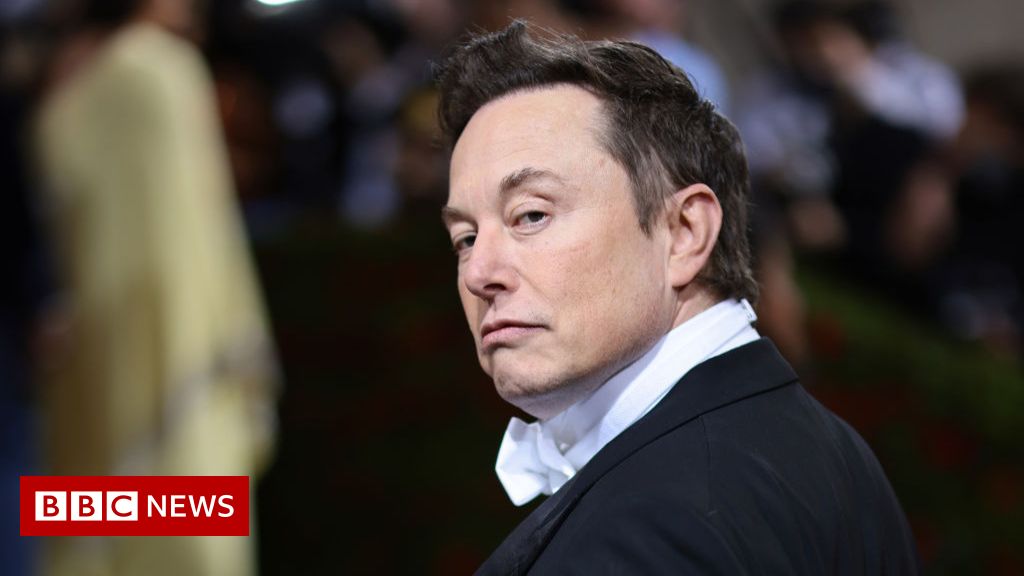 Twitter boss hits back on Musk doubts over fake accounts