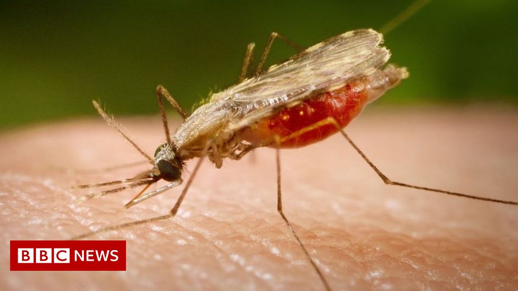 The sci-fi technology tackling malarial mosquitos