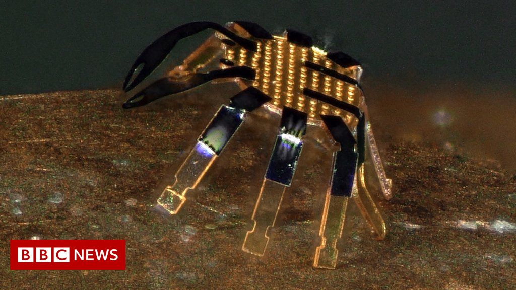 Robot developed that’s smaller than a flea