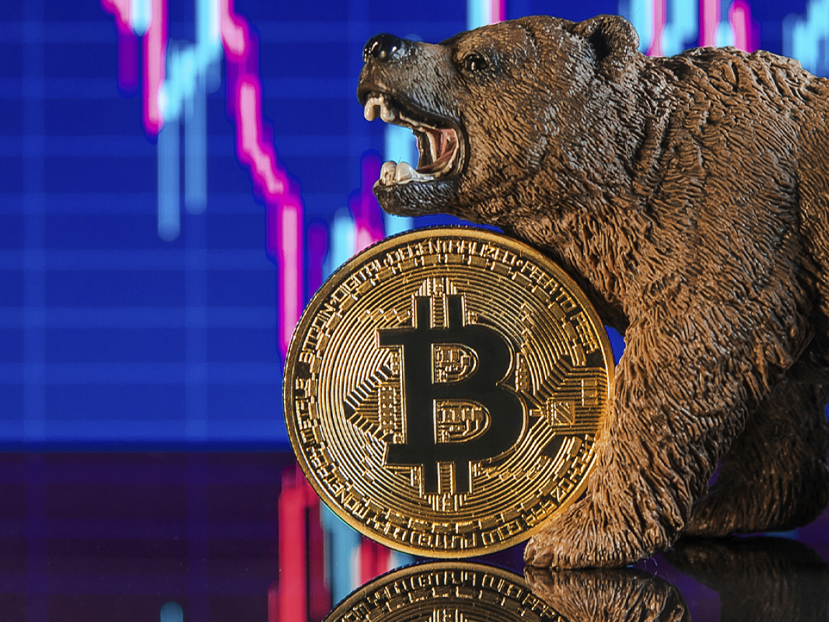 Crypto Execs Think Bear Market Is Good for Industry