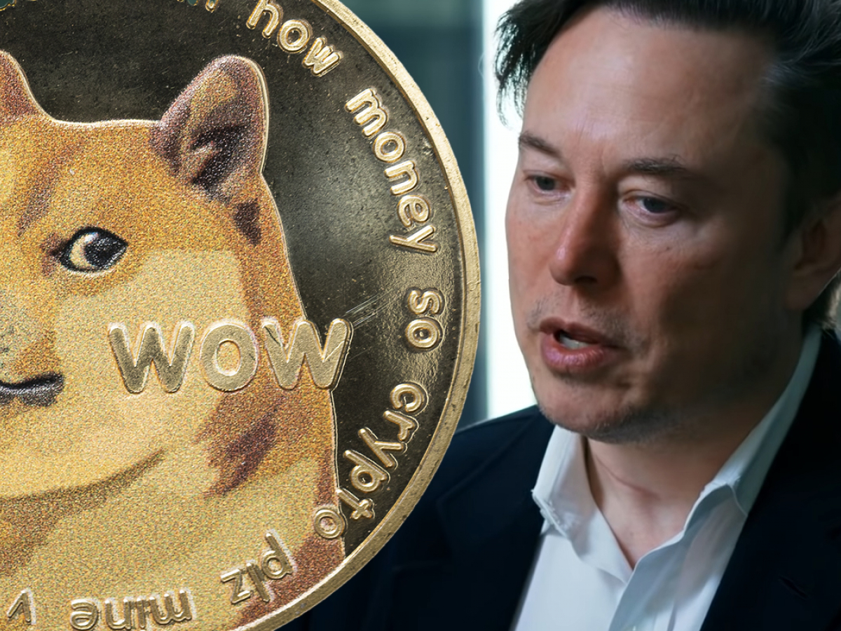 Elon Musk Believes Dogecoin Could Solve Twitter’s Spam Bot Problem