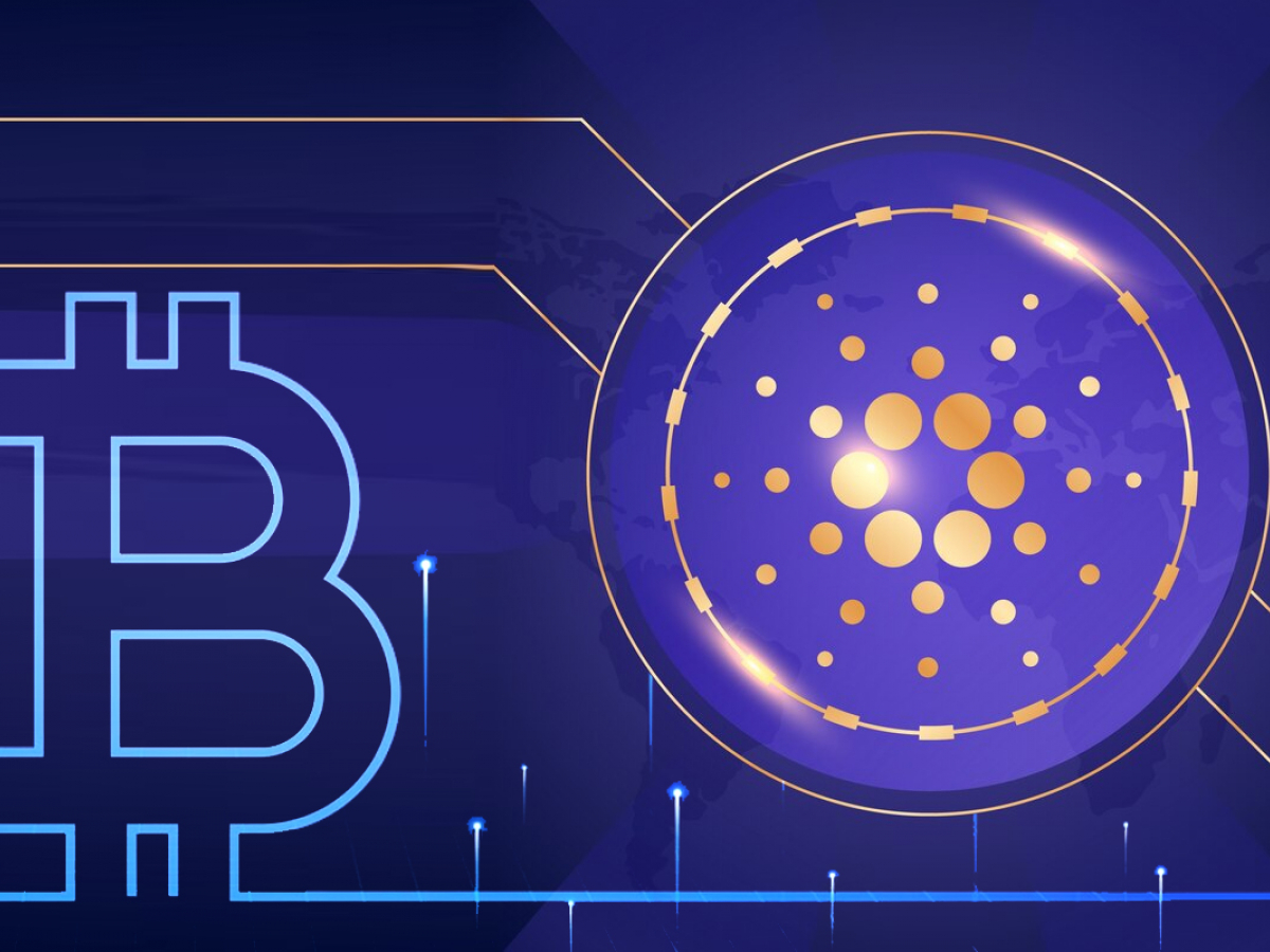 Cardano Has Potential to Become Scarce Asset Like Bitcoin: Community