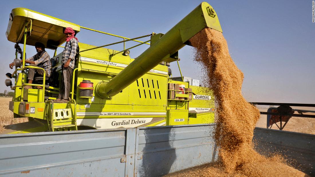 India bans wheat exports as heat wave hurts crop, domestic prices soar