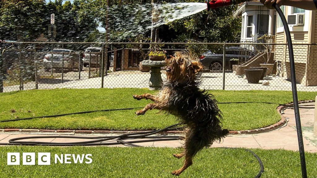 Is it the end for the lush lawns of Los Angeles?