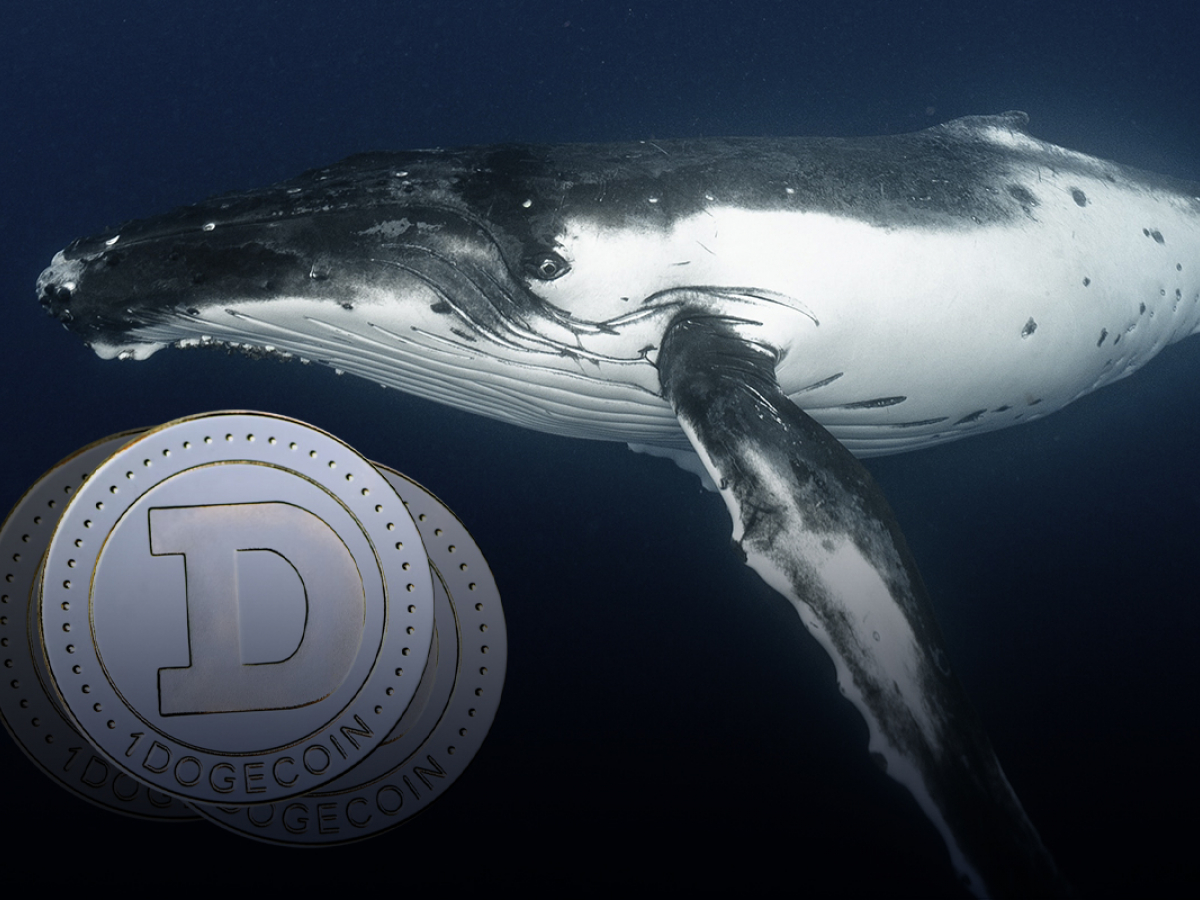 400 Million Dogecoin Bought by Whale as Price Nears Historic Support