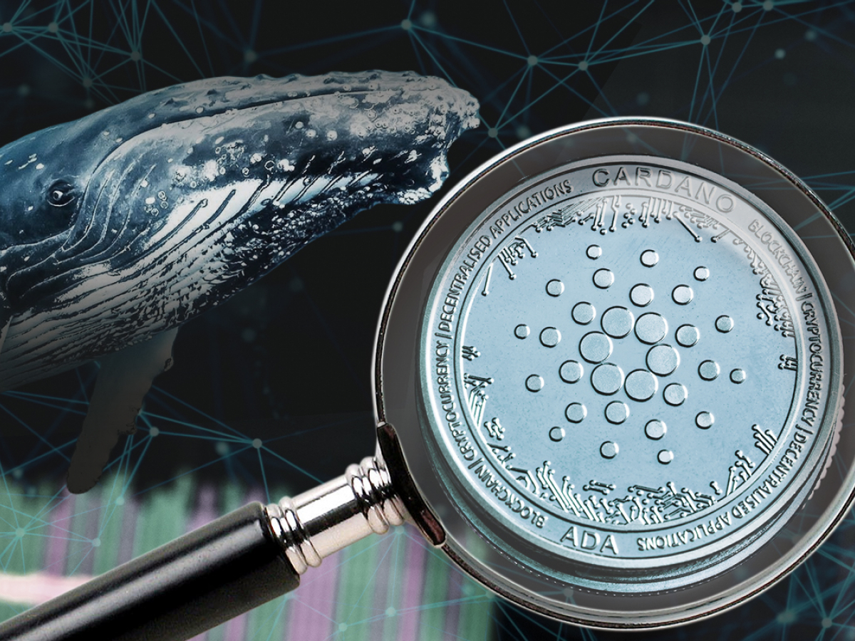 Cardano’a ADA Now Among Most Wanted Assets by Top BSC Whales