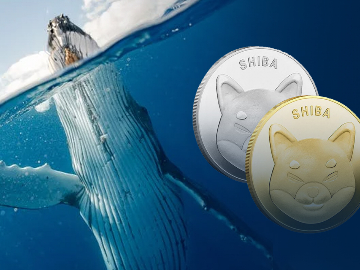 Shiba Inu Active Whale Addresses Jump 44% as SHIB Usage Increases