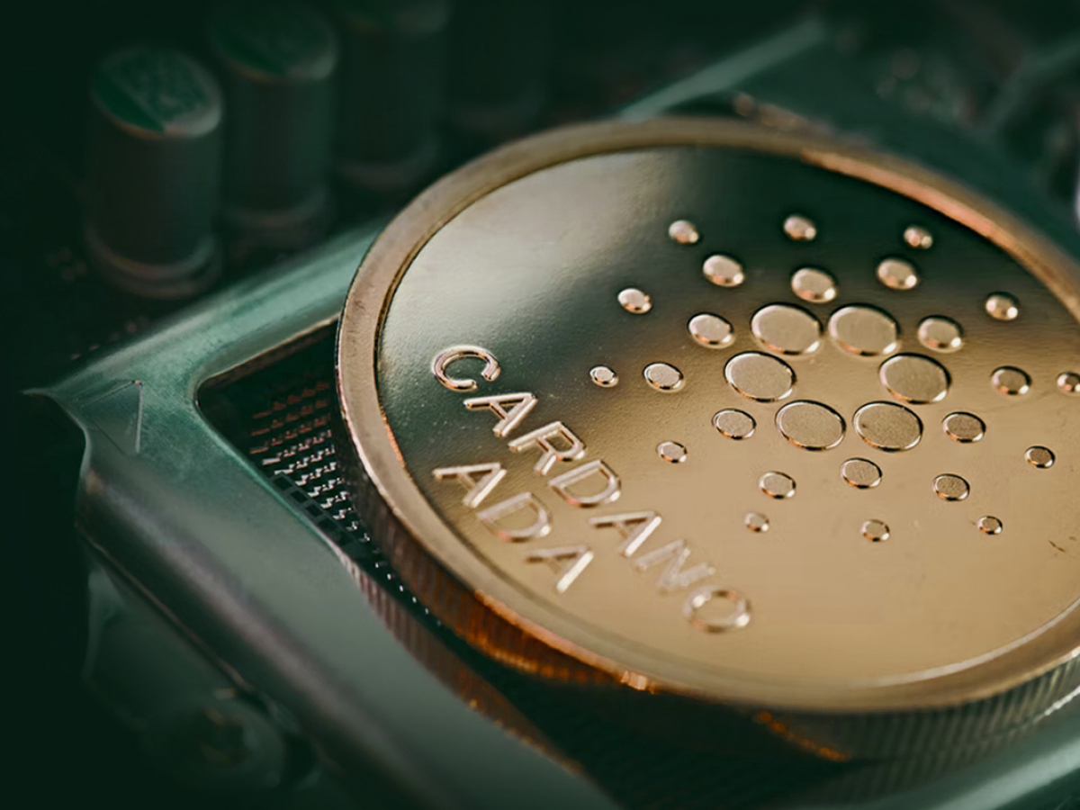 Cardano Onboards Native CDN for Non-Fungible Tokens