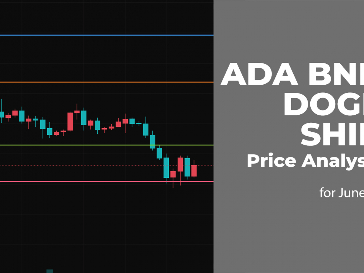 ADA, BNB, DOGE and SHIB Price Analysis for June 17