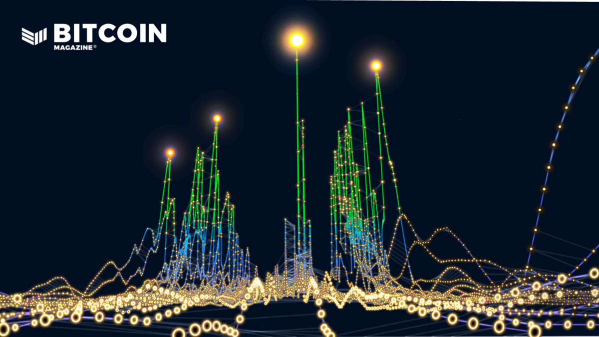 Analyzing The Current Bitcoin Market Cycle